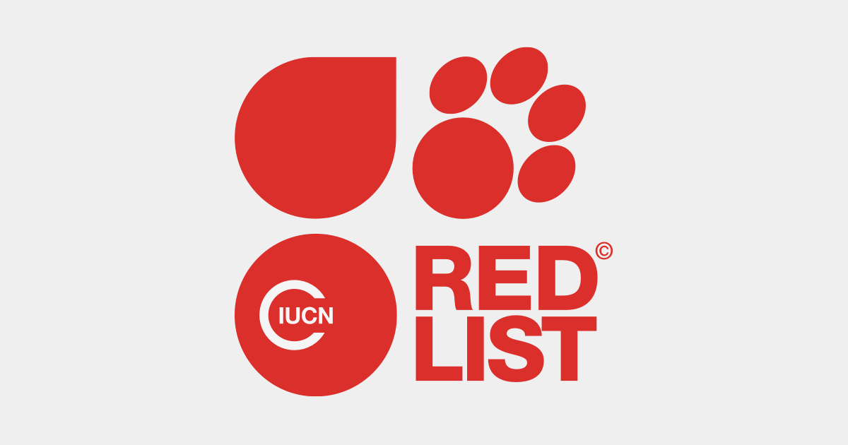 Myredbook Latinas Fresno